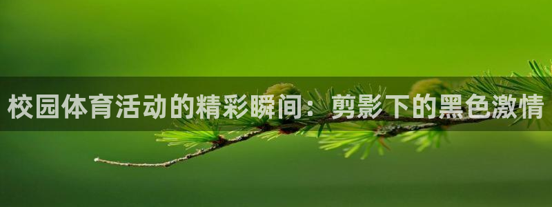 球速体育