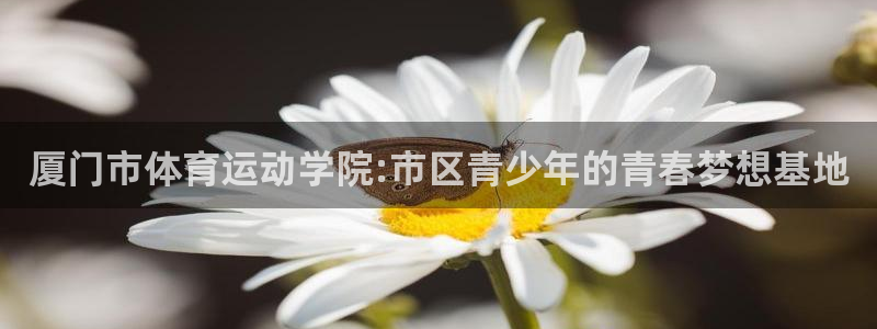 球速体育