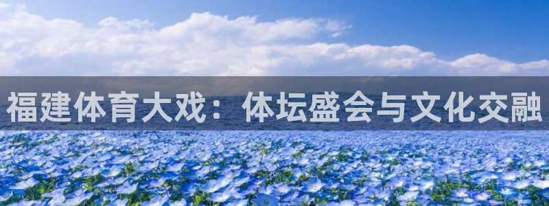 球速体育