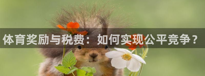 球速体育