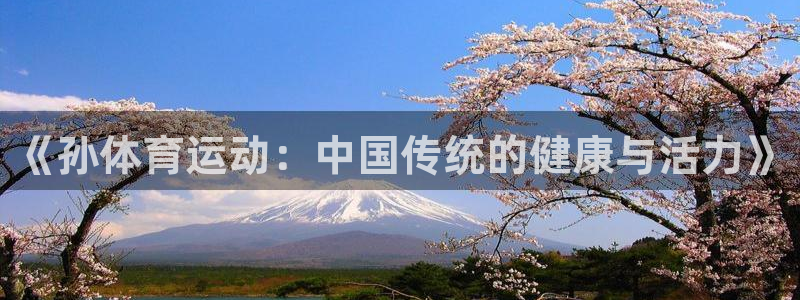 球速体育