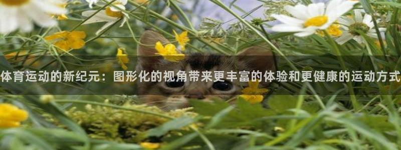 球速体育