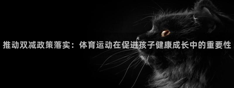 球速体育