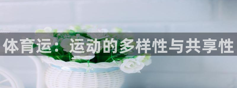 球速体育