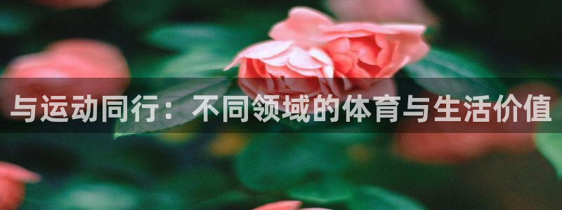 球速体育