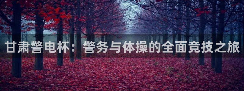 球速体育